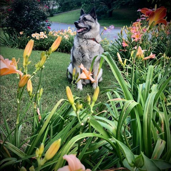 Meet your Posher, Janet - Picture 5 of 10